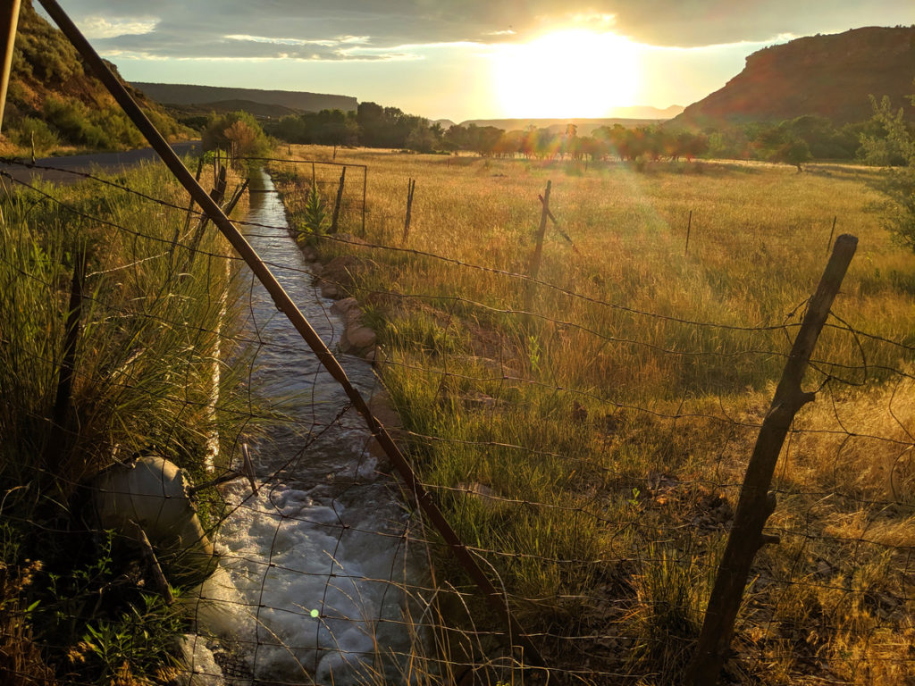 Navigating Water Shortages with Decentralized Water Control System and Irrigation