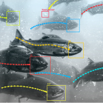 AI for Fish Farms