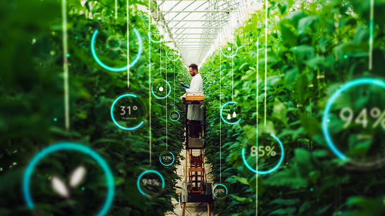 AI’s Green Thumb: Agritech Apps are Providing Personalized Advice to India’s Small Farmers
